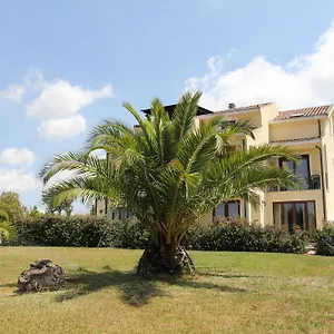 Palmas Dorada Olmedo